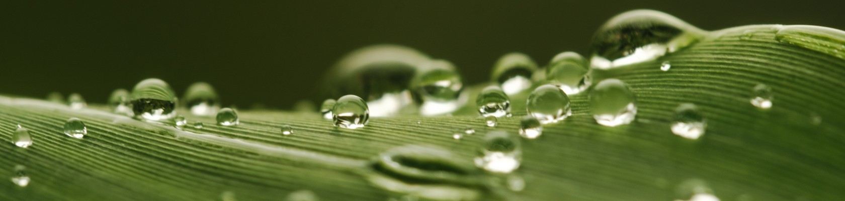 In flux - EU Omnibus update