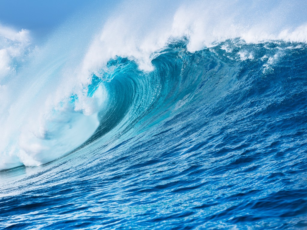 Catching the wave - Seizing the opportunities of sustainability transformation
