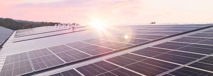 Sunrise glimmers over a rooftop of solar panels, reflecting light amidst a serene landscape, symbolizing renewable energy and sustainability.