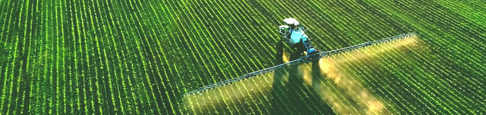 Nature in the Chemical Industry: How Data and Technology Can Drive Business Decisions 