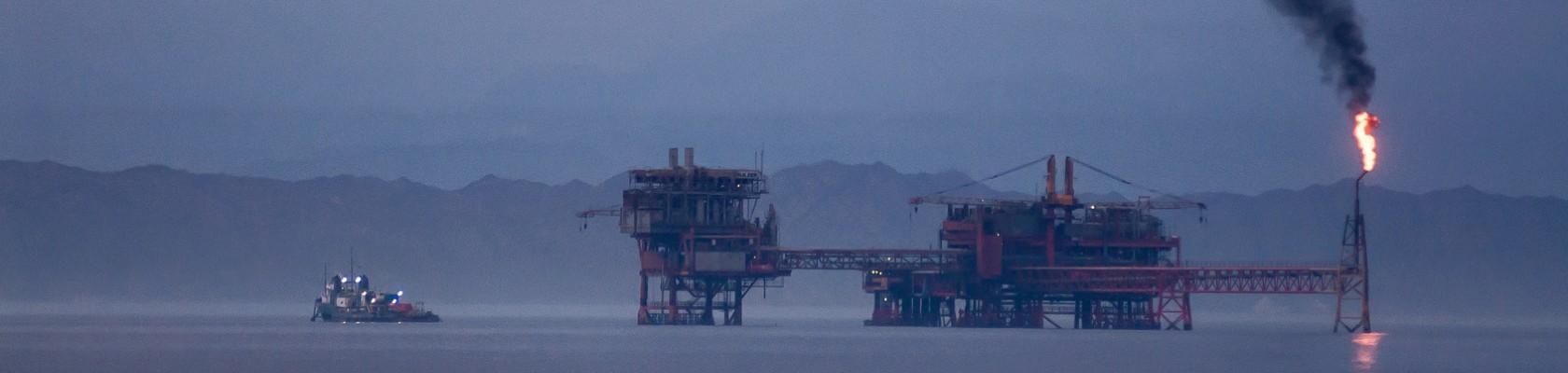 A Clear Path to Decarbonizing Your Company 