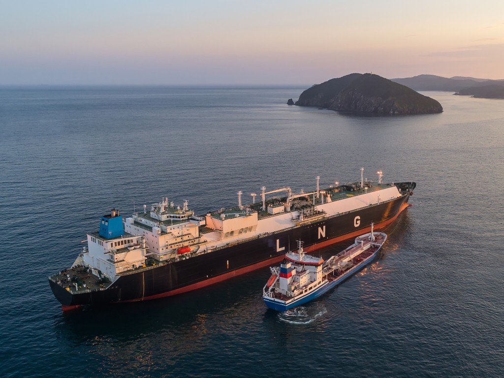 Rhea's test insight document