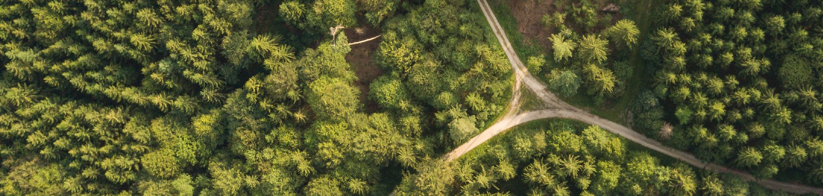 CEO Message: Navigating the messy middle – 5 takeaways from Climate Week NYC