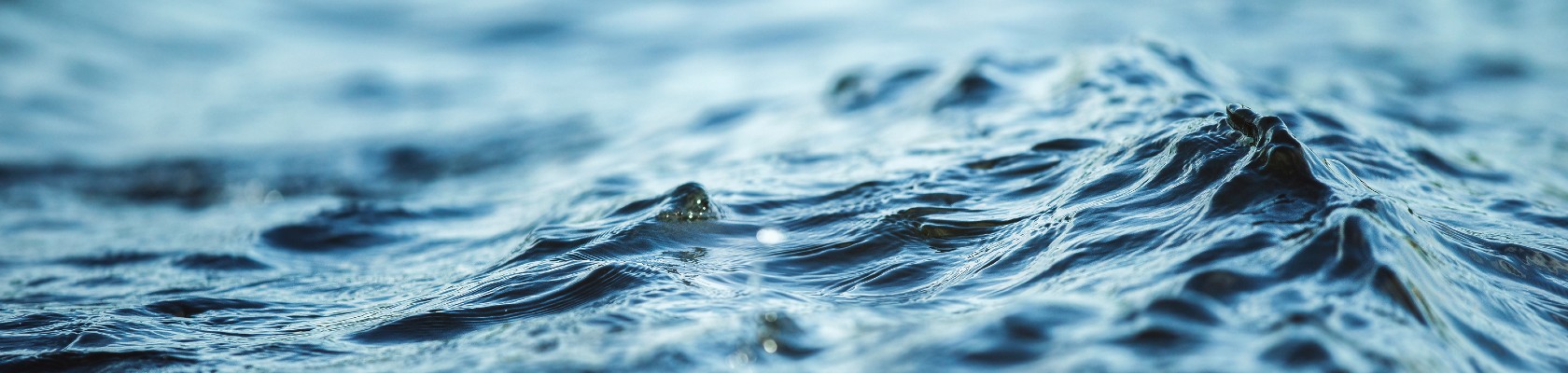 Powering the Future: Water as a strategic asset for the energy sector