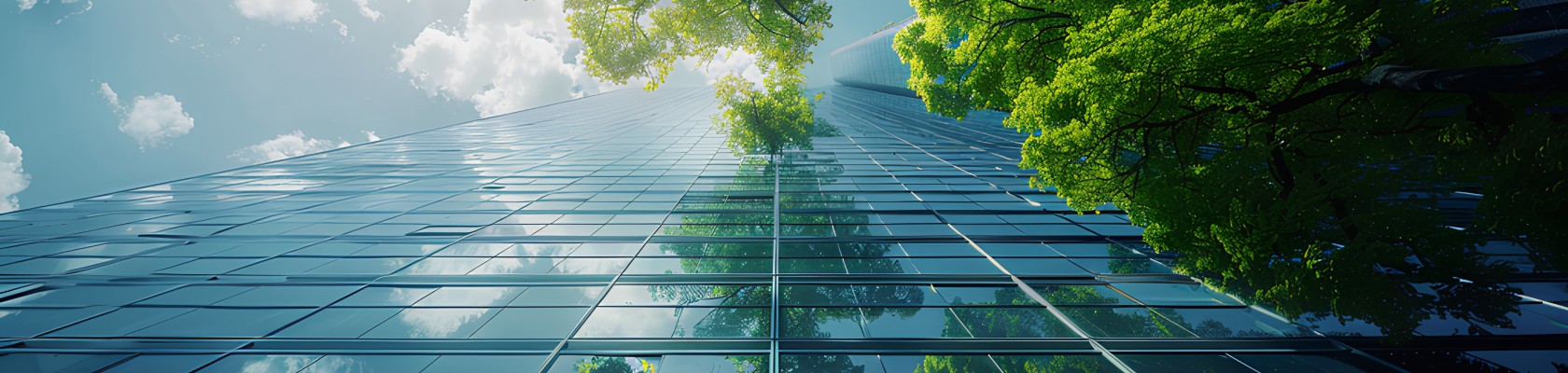 How climate transition planning can unlock capital   