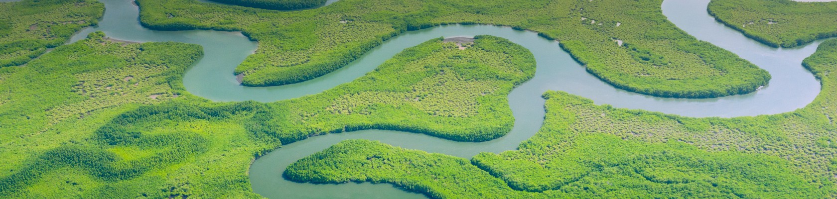 Episode 16: Closing the nature data gap featuring Planet