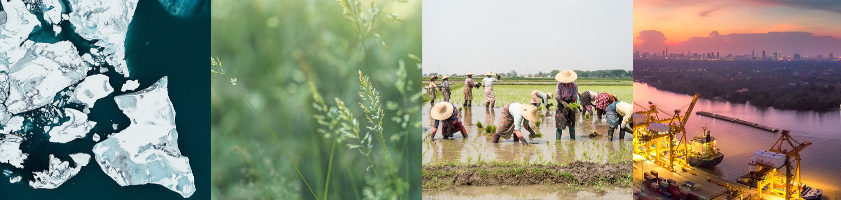 Sustainability trends quarterly outlook - October 2023