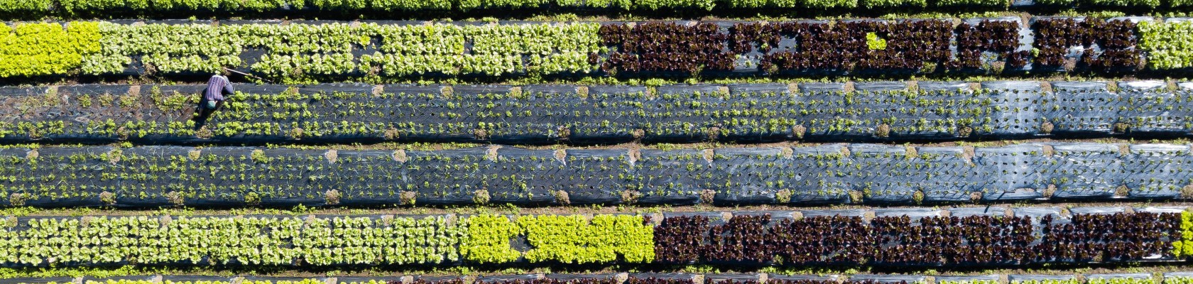 Fast-Track CSRD Compliance: Best practices on how to manage CSRD implementation
  