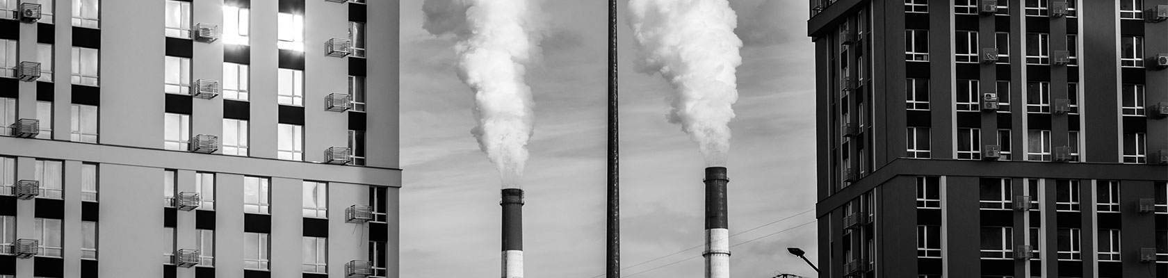 Business and the Pursuit of Environmental Justice