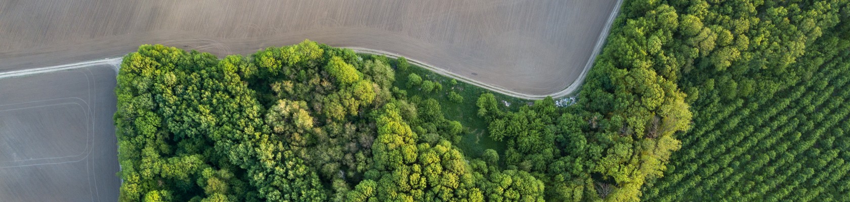 Accounting for Nature: Preparing for tomorrow’s nature accounting needs today