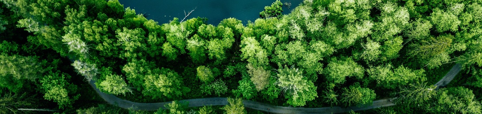 An intermediate step – five takeaways from COP29