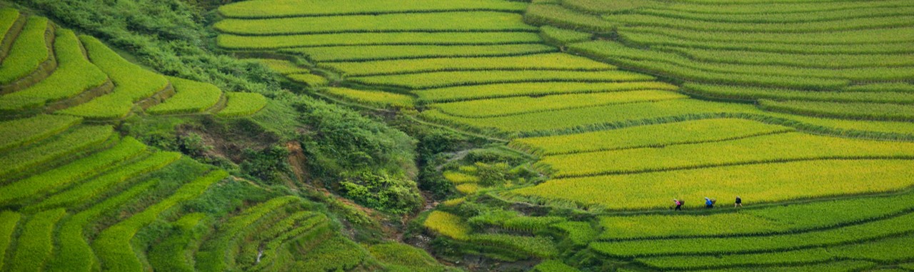 厳格化／多様化するEHS規制への対応 デジタルプラットフォームの可能性