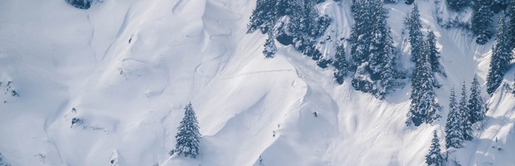 責任ある政策関与（RPE）による民間セクターの戦略的アプローチ