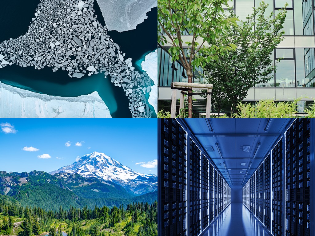 Episode 28: Sustainability trends in 2025