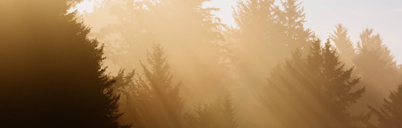 GX-ETS の本格稼働に伴うJCM クレジット需要の高まり