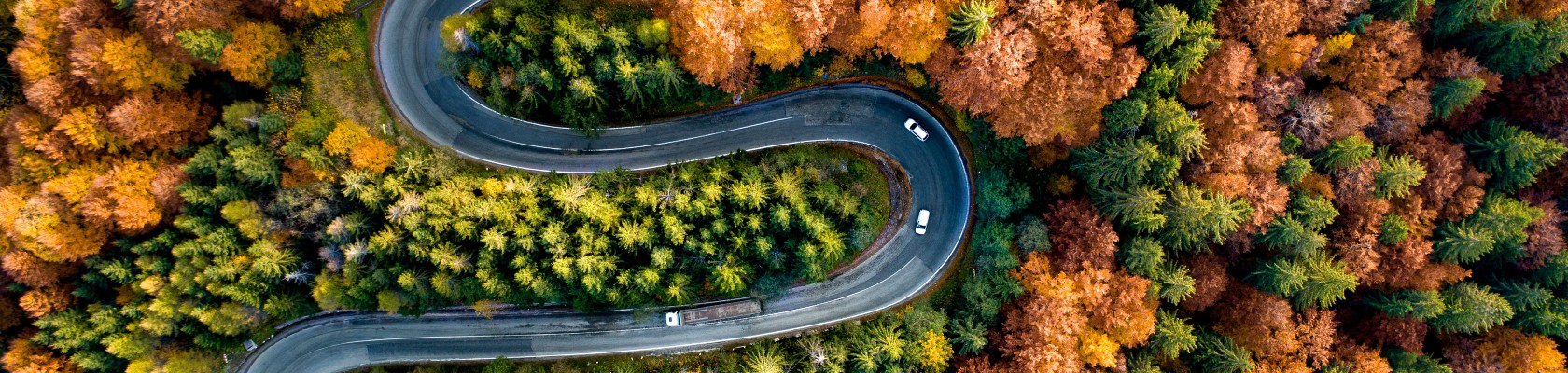 Strategy & Transformation 