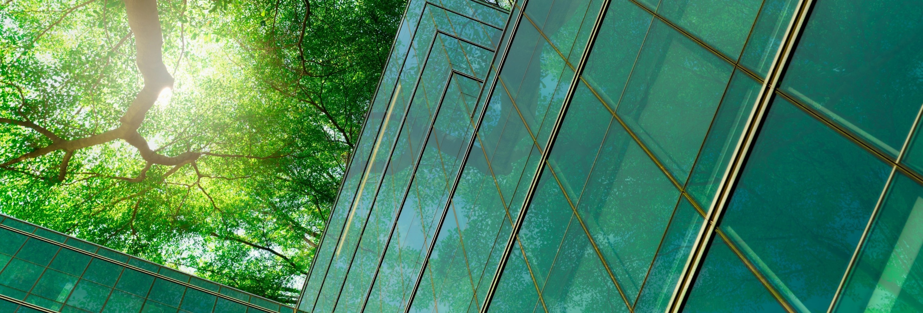 建設・建築業界における脱炭素の動向と国際的なグリーンビルディング認証