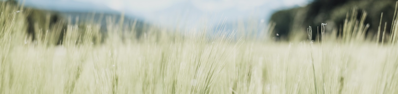 CSRD Masterclass Webinar  