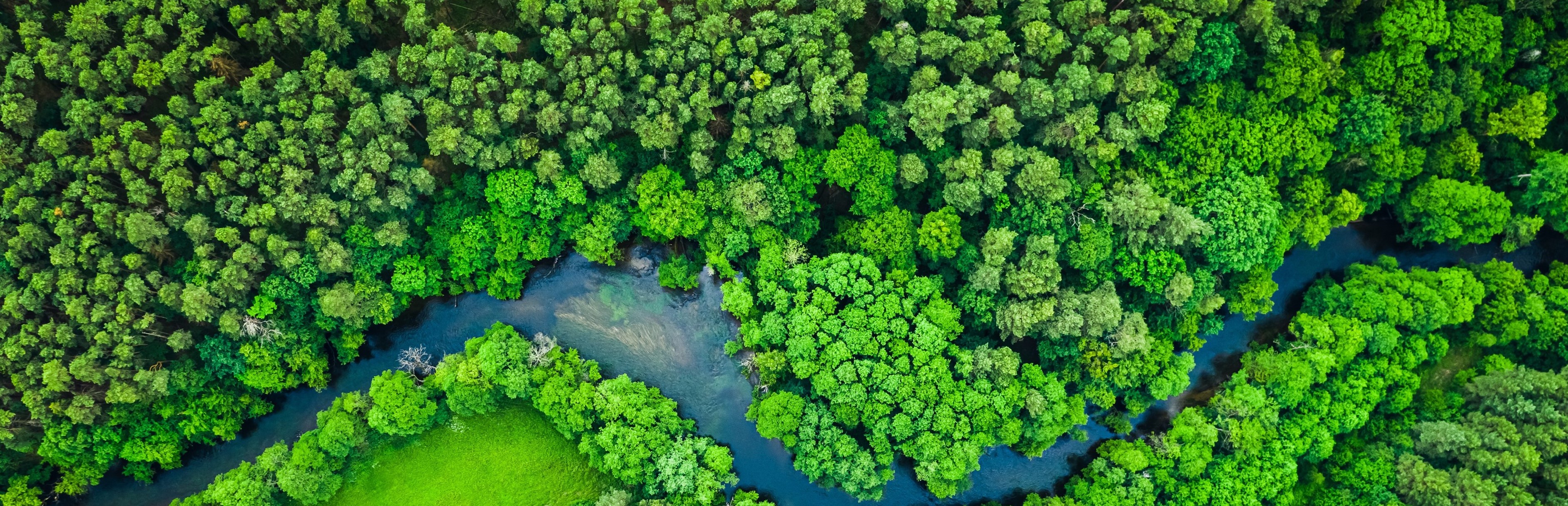 国際排出権取引の議論の行方