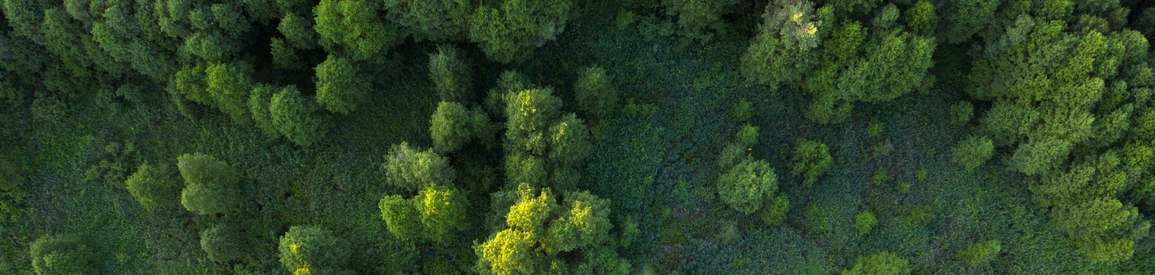 Double-edged: 5 steps to comply with CBAM and add strategic value