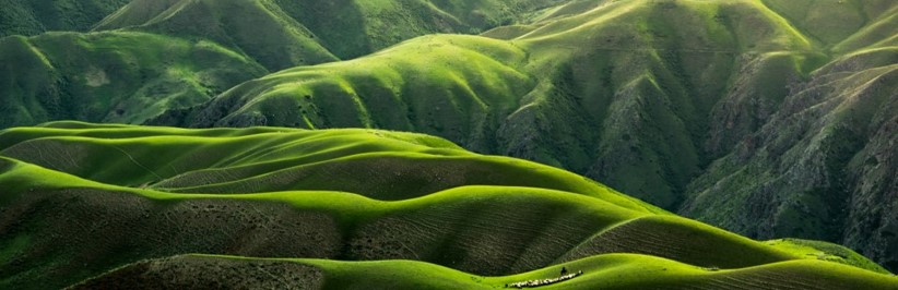 欧州CSDD指令を見据えた持続可能な
サプライチェーンへの対応