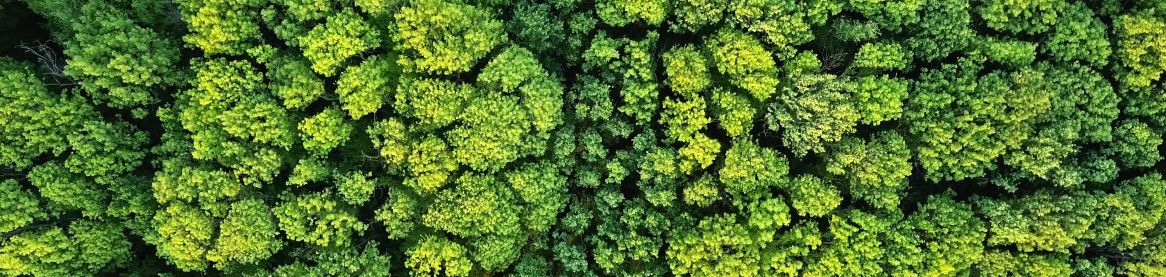 The EU Omnibus Regulation: Preparing for changes to European sustainability disclosure regulations