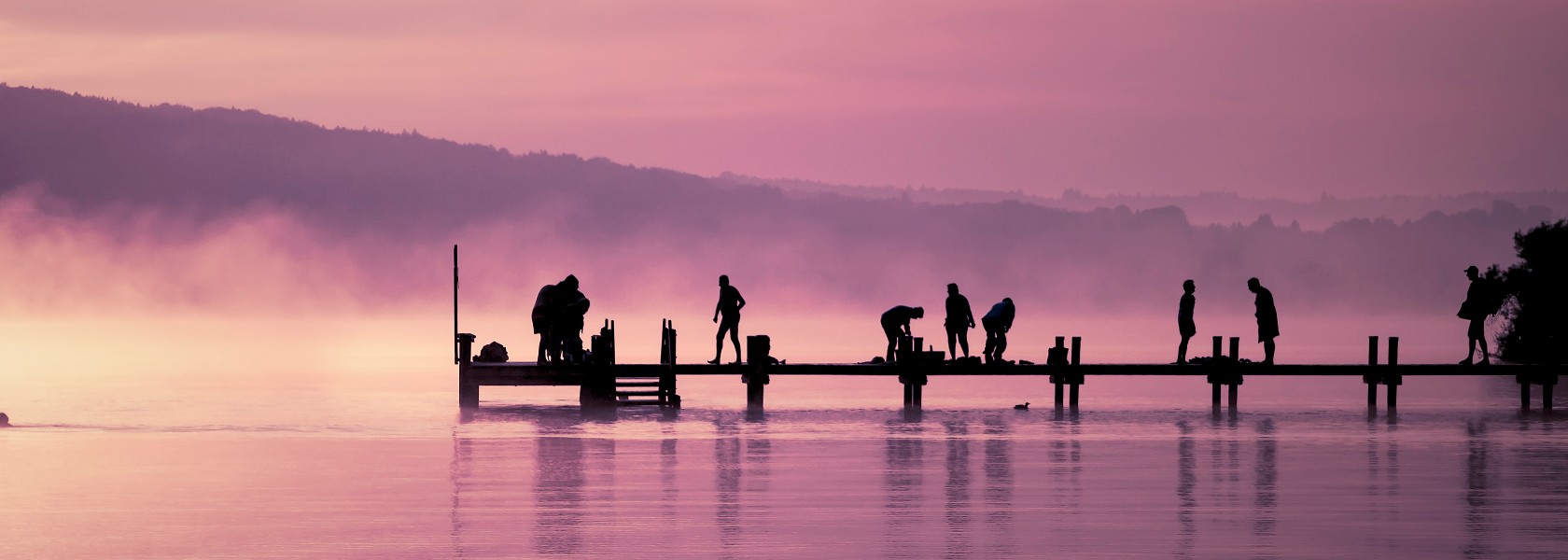 Council on Sustainability Transformation