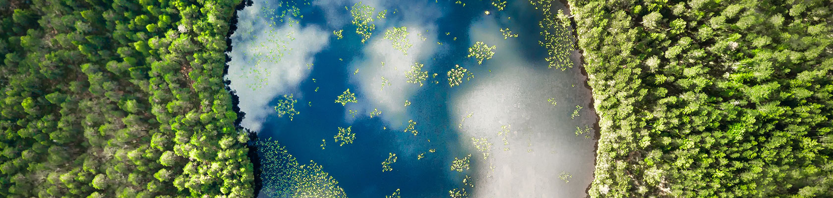 Circularity: From Theory to Practice