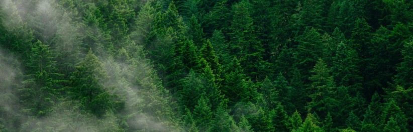 生物多様性条約COP16 に向けて