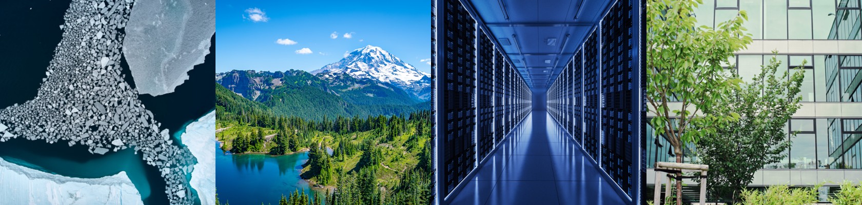 2025 Annual Trends Report: The Path Forward for Sustainable Business