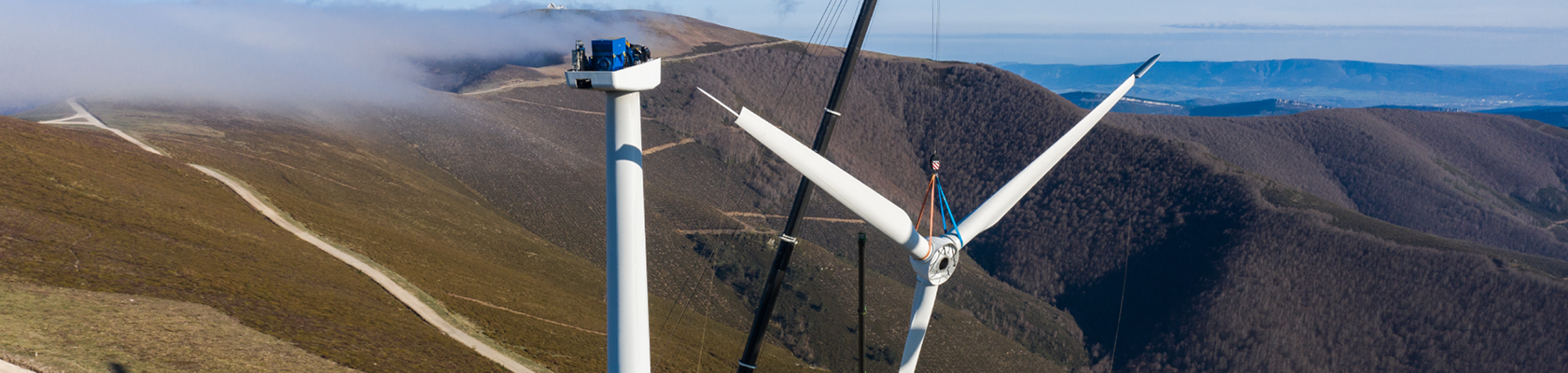 Renewables Conundrums - Building Benefit: Four steps to mitigate renewable energy’s environmental downsides