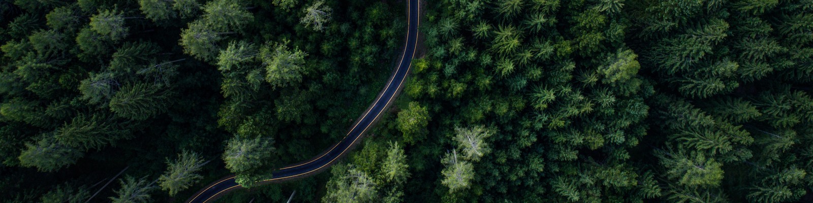 Demystifying CSDDD: Getting off to a good start with the EU’s latest ESG milestone