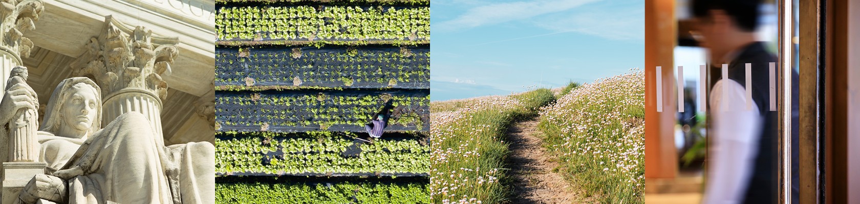 Sustainability Trends Quarterly Outlook - July 2024