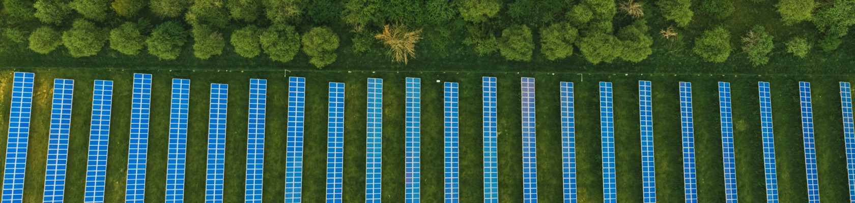 Powering the Future in APAC: Strategies for Clean Energy Procurement