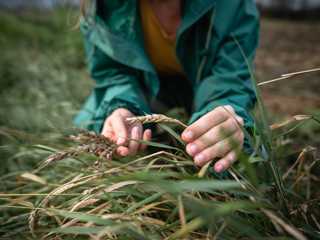 Episode 1: Natural climate solutions and the importance of collaboration