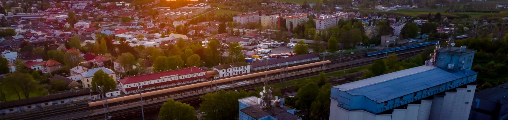 How business can adapt to new environmental and human rights due diligence requirements