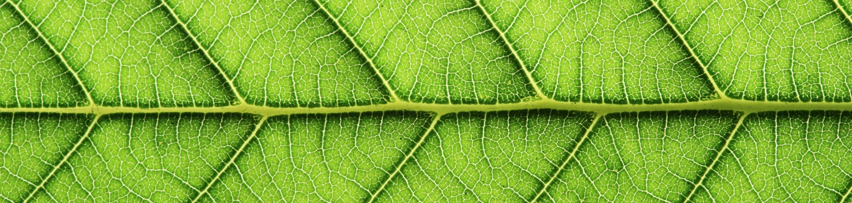 CEO Message - Stepping up at Climate Week NYC