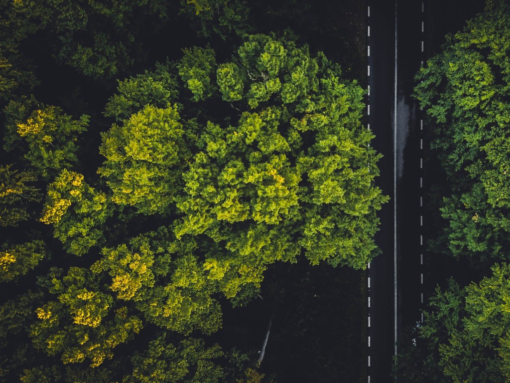 Make finance decisions that hold up to climate, nature, and regulatory scrutiny