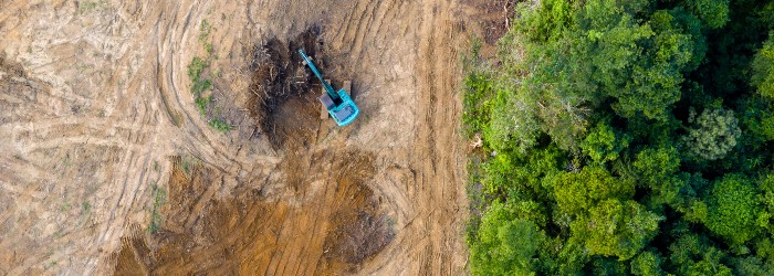 Aerial view of a construction site with a blue excavator on cleared land adjacent to a dense, untouched forest.