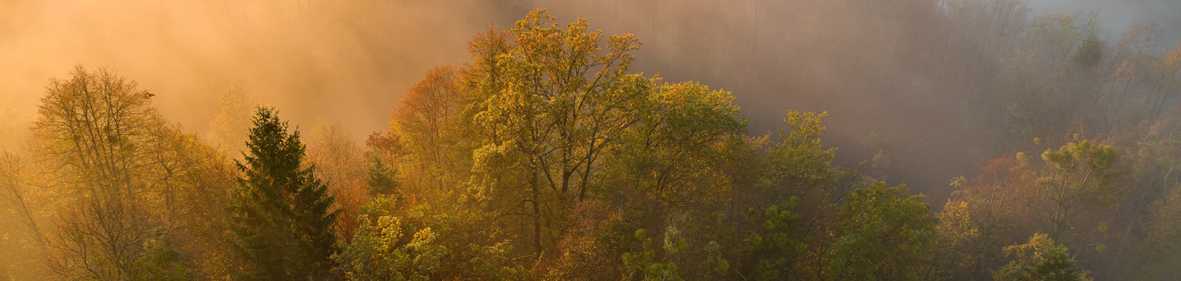 Embedding Just Transition into Corporate Climate Action Strategies