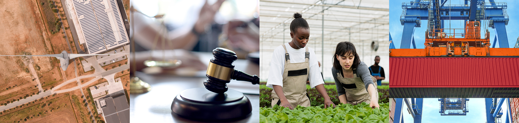 Sustainability Trends Quarterly Outlook - October 2024