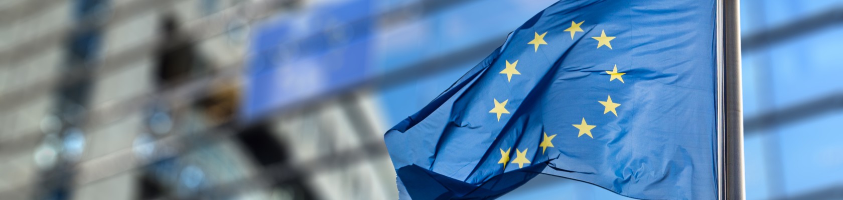 EU Omnibus Policy Alert: Recommendations for companies on how to prepare for the upcoming changes