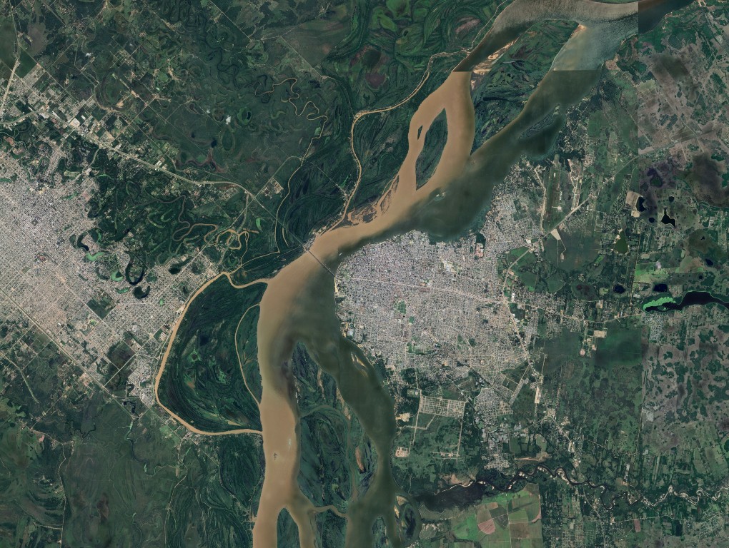 Episode 14: Understanding nature disclosure featuring TNFD