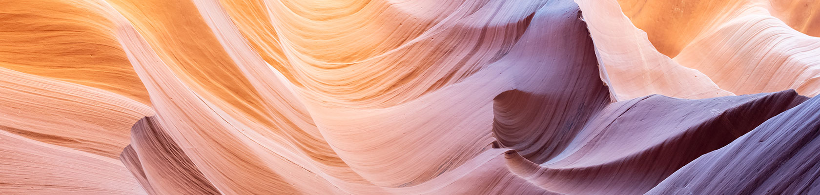 Trending now: What's shaping the sustainability agenda in 2022