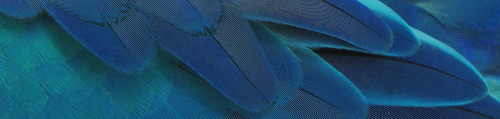 Sustainable solutions for the Global Chemical Industry