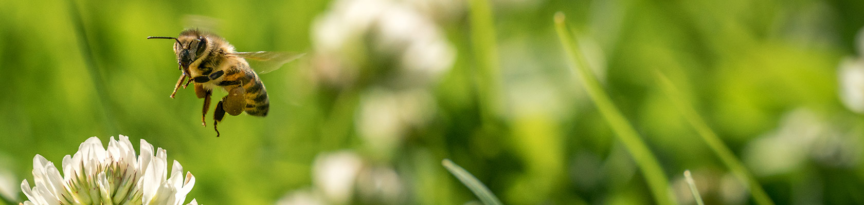 US EPA Classification System for Final Ecosystem Goods and Services