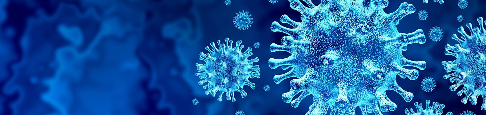 ERM COVID-19 Roundtable Insights Summary