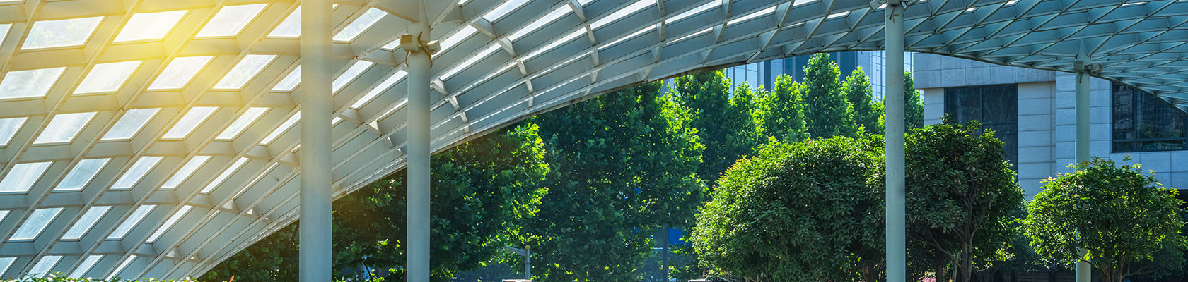 Europeans and many global companies choose a green stimulus, while some reverse