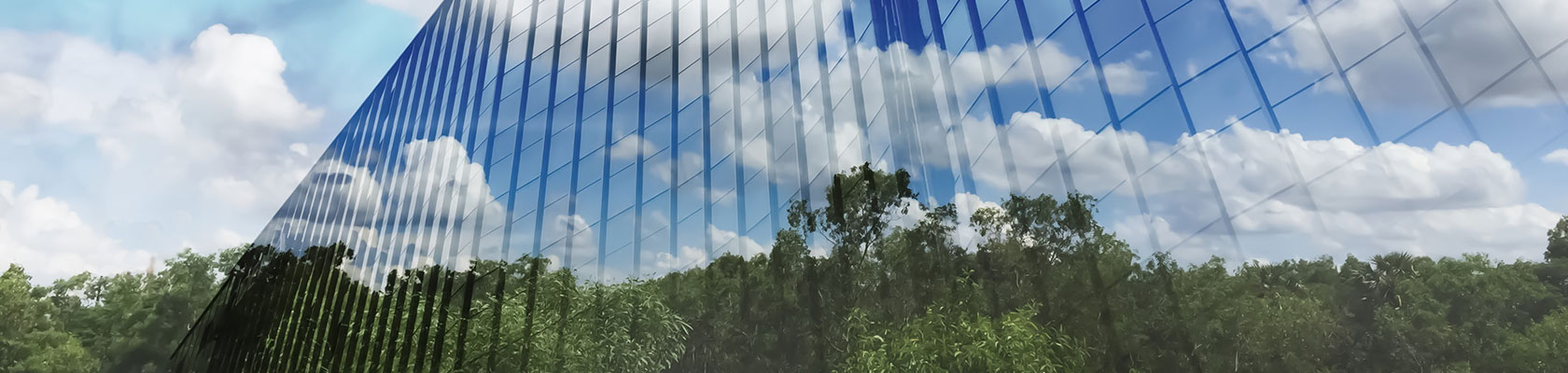 COVID-19 and People, Planet and Profit: Where to from here? 