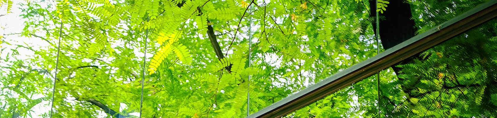 ERM Survey Report: ESG - The Multiplier Effect